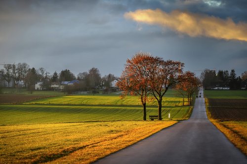 away  bank  abendstimmung