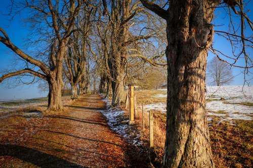 away  winter  nature