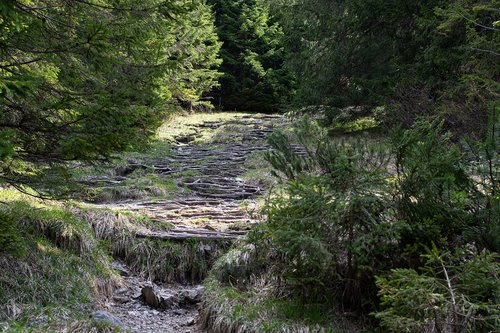 away  nature  landscape