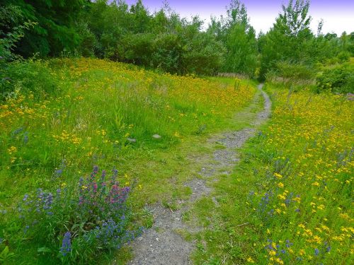 away path nature