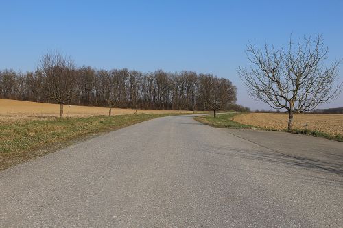 away road landscape