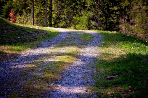 away nature trail forest road