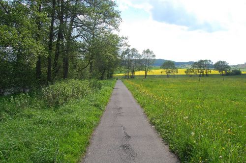 away nature meadow