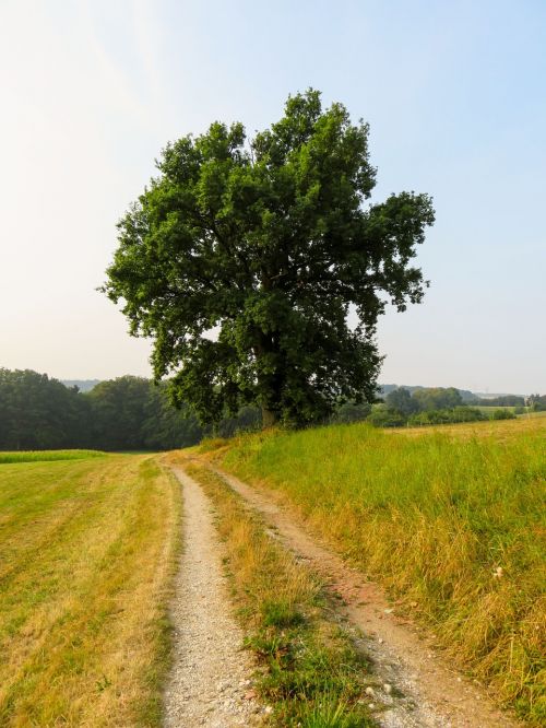 away field lane