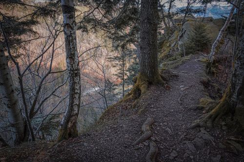 away trees landscape