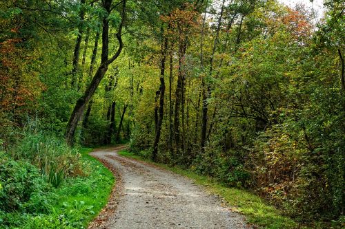 away lane autumn