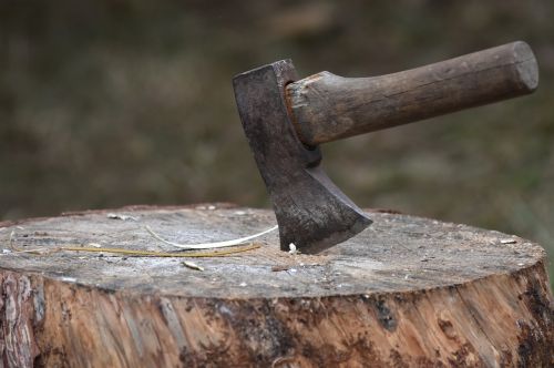 ax wood wood stump
