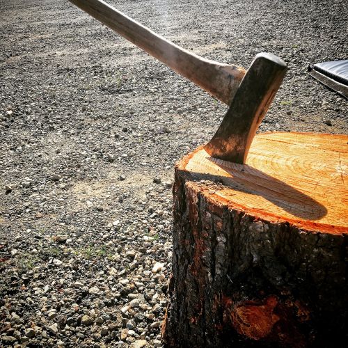 axe wood cutting log