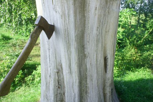 axe tree dry wood