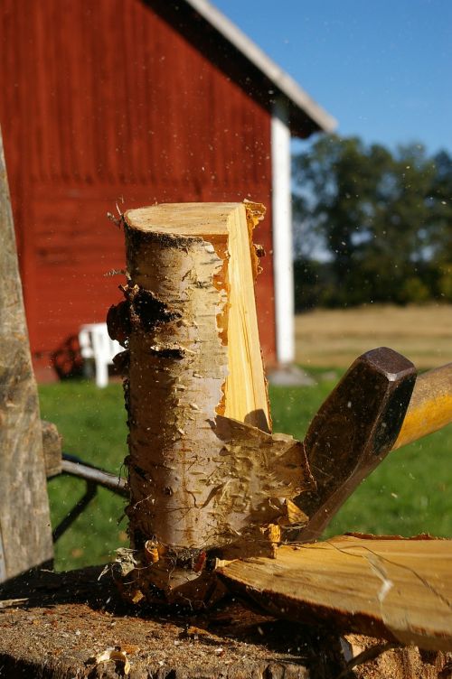 axe wood birch