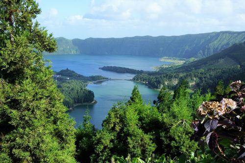 azores portugal nature