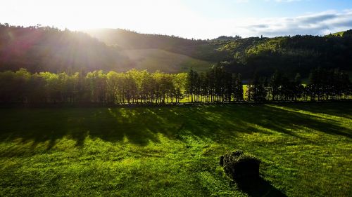 azores sunrise meadow