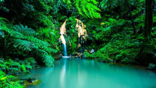 azores waterfall oasis