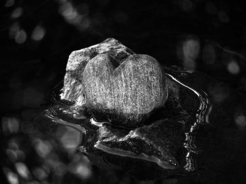 b w photography stone heart