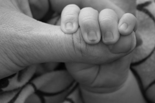 baby hands holding hands