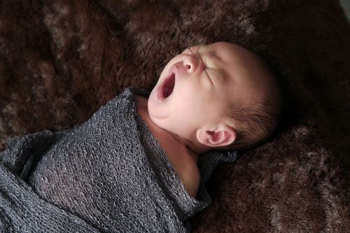 baby newborns portrait