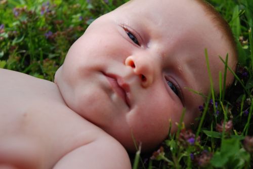 baby turf flowers