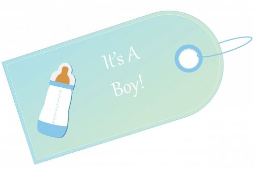 Baby Boy Gift Tag