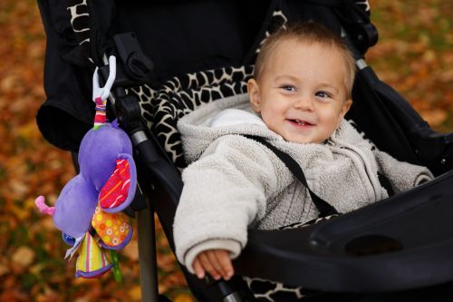 Baby Boy In A Buggy