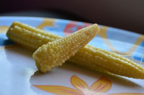 baby corn sticks corn