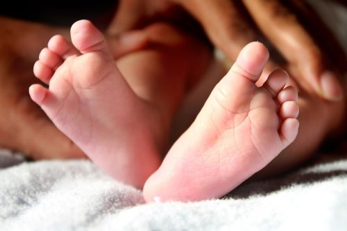 baby feet newborn leg
