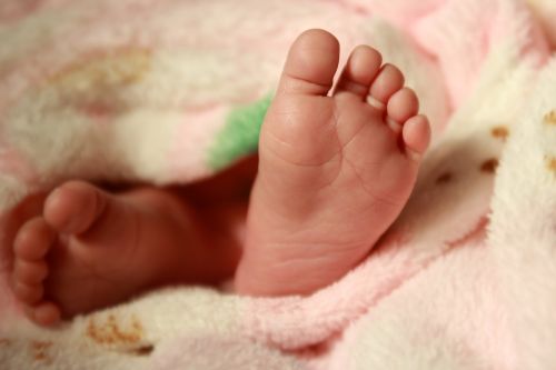 baby feet newborn leg