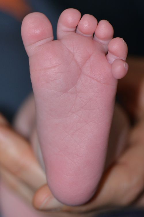 baby foot foot toes