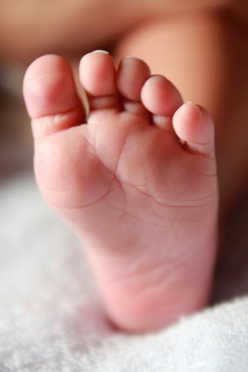 baby foot newborn leg