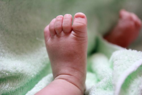 baby foot infant leg