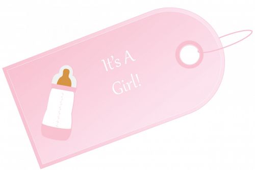 Baby Girl Gift Tag