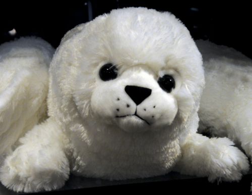 Baby Seal Stuffed Animal