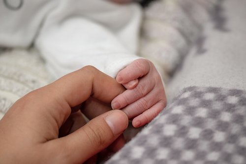 baby's hand  newborn  small hand