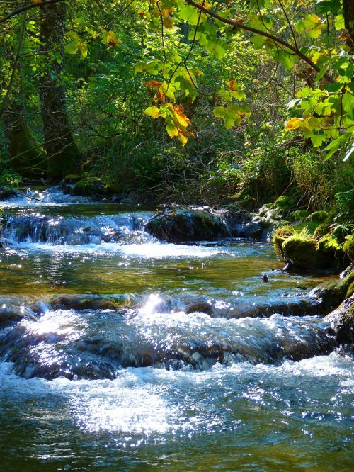 bach creek river