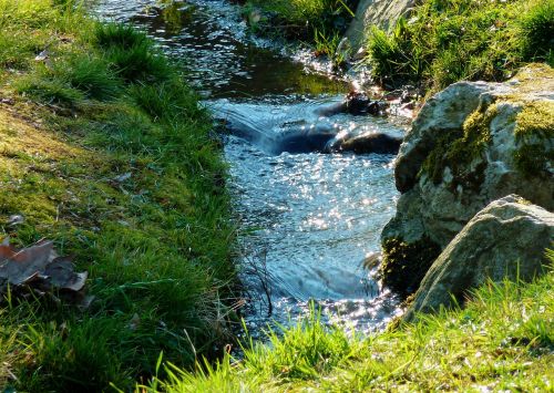 bach creek brook