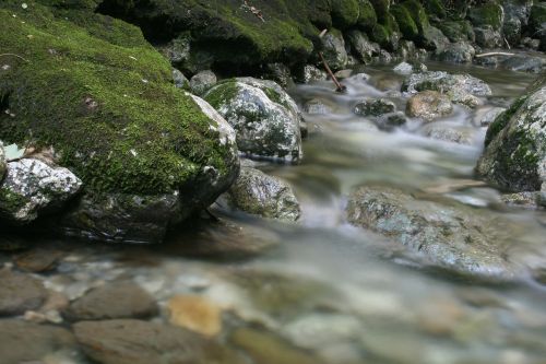 bach water nature