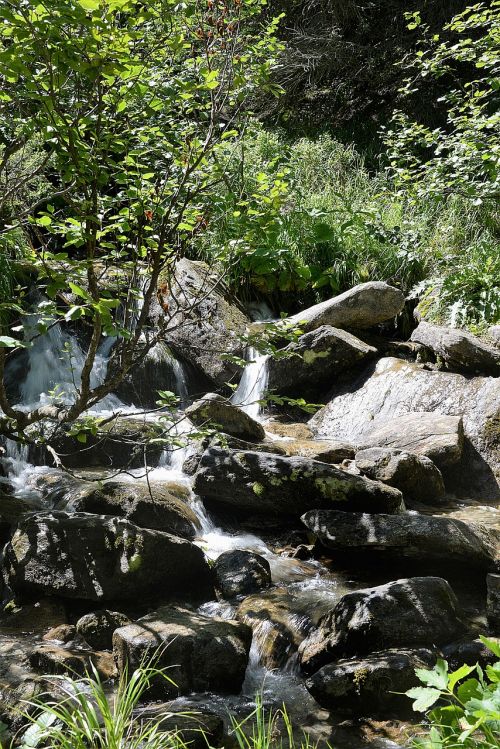 bach stones water