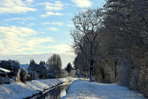 bach winter wintry