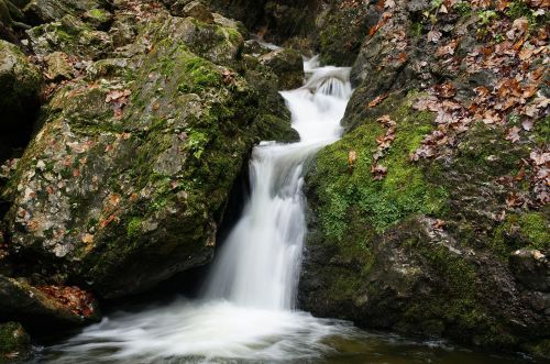 bach nature waterfall