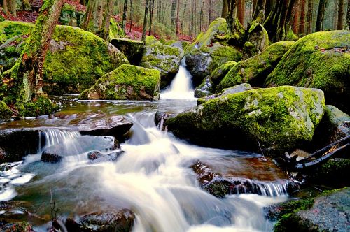 bach river water