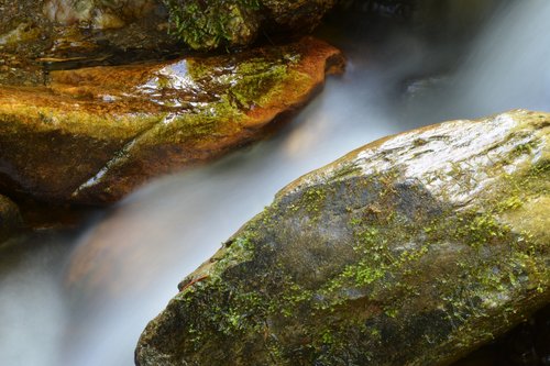 bach  water  stones