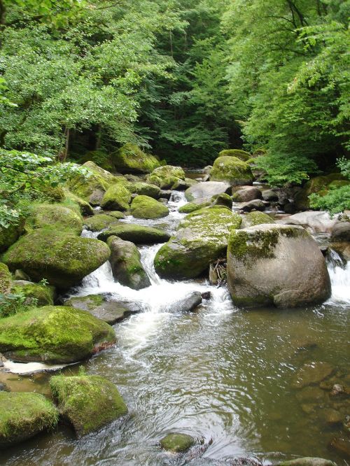 bach stones water running