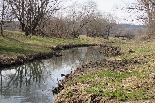 bach creek landscape