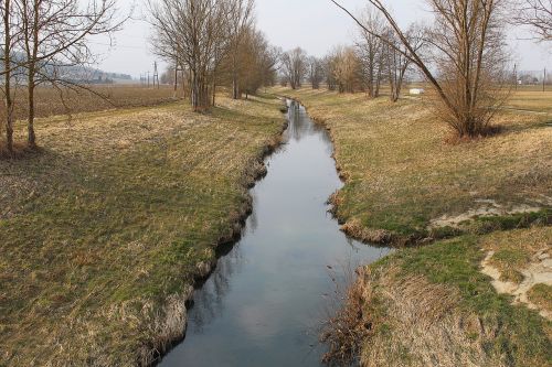 bach landscape creek