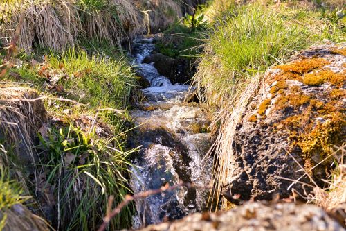 bach natural stream wiesenbach