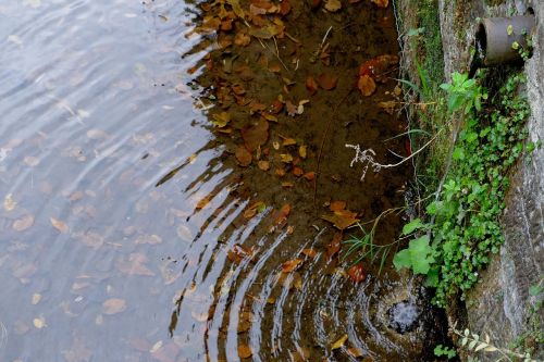 bach water running wall