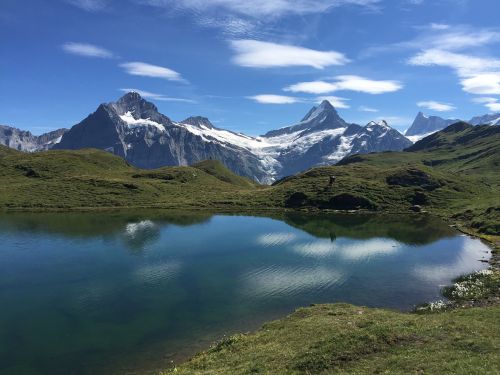 bachalpsee bergsee nature