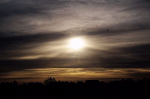 back light winter sunshine