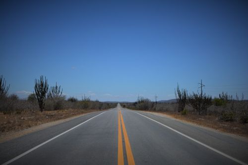 backcountry road caatinga