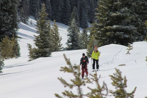 backcountry ski ski mountain