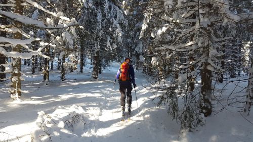 backcountry skiiing black forest ski